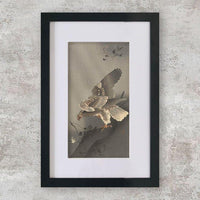 High-quality Mounted + Framed Print Eagle on the lookout for prey - Ohara Koson Japanese Woodblock Print Ukiyo-e - City of Paradise