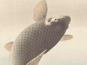 High-quality Print Leaping Carp - Ohara Koson Japanese Woodblock Print Ukiyo-e - City of Paradise